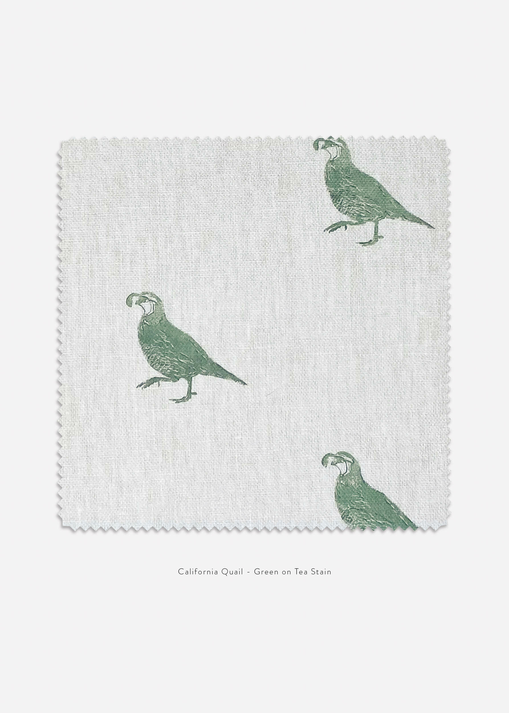 california quail linen green teastain