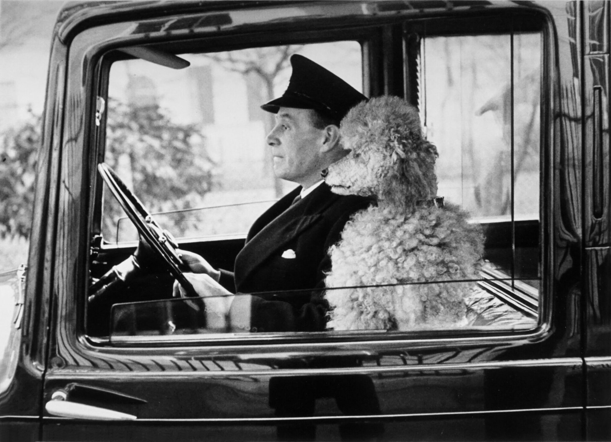 thurston hopkins la dolce vita, knightsbridge, london, 1953