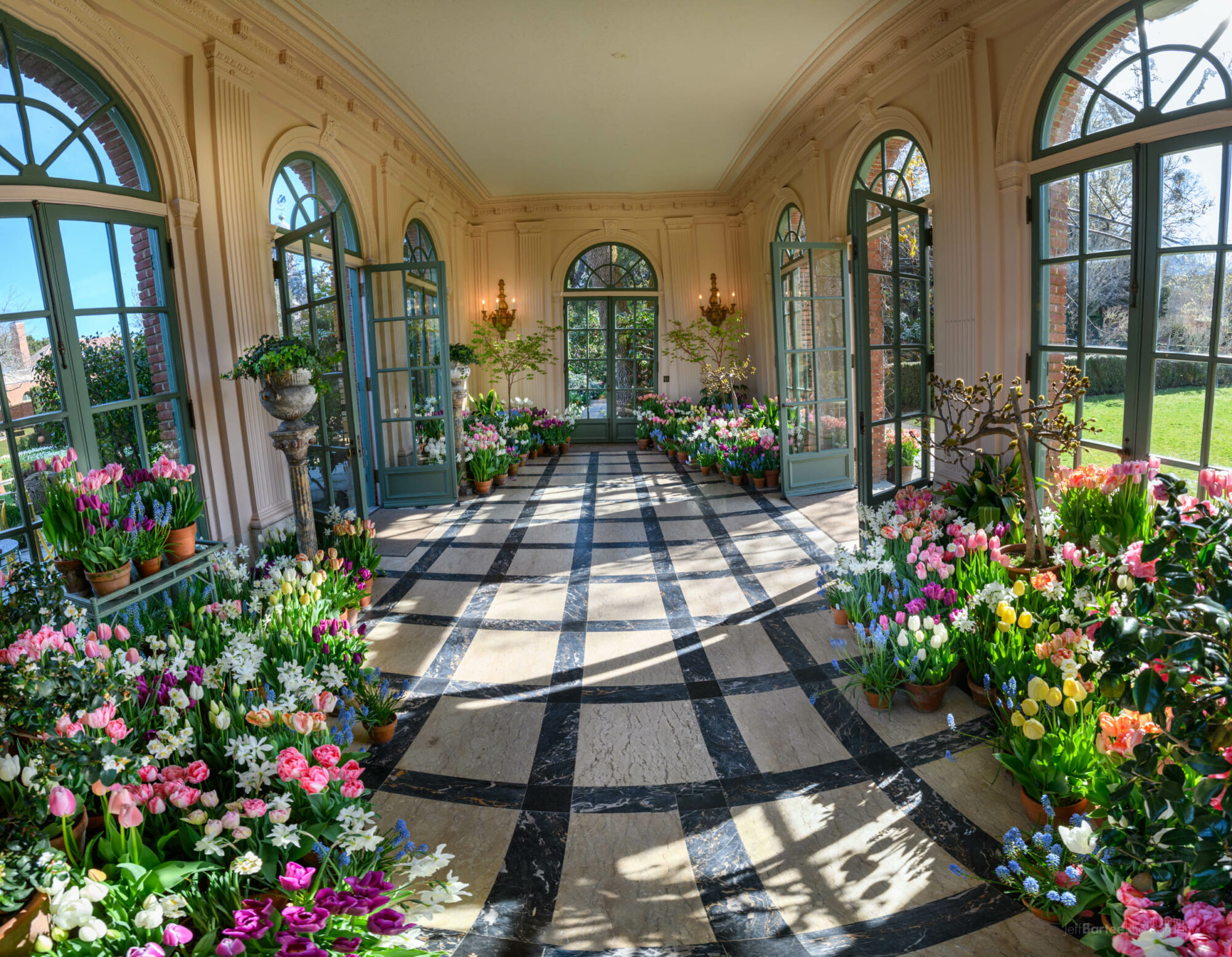 garden house filled with tulips and narcissus