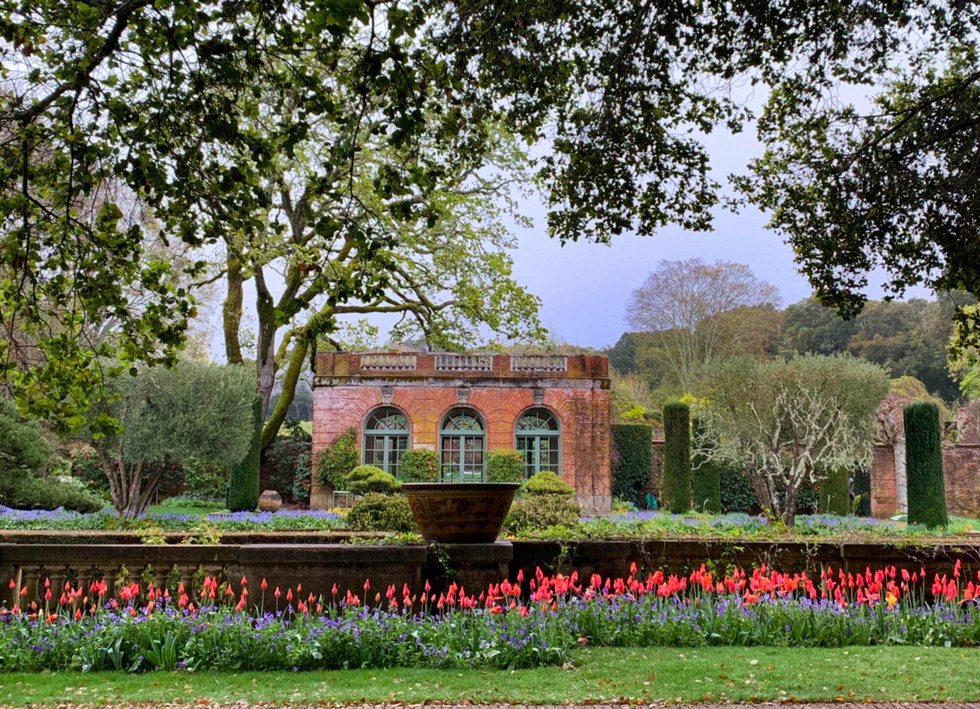 04.12.2020 garden house and tulips